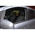 Авточехлы Автопилот для Opel Zafira B в Оренбурге